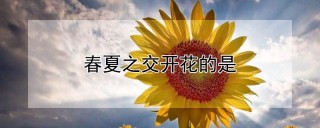 春夏之交开花的是,第1图