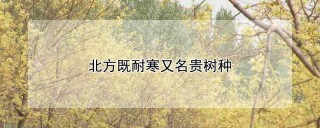 北方既耐寒又名贵树种,第1图