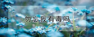 勿忘我有毒吗,第1图