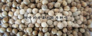 陈年的香菜籽能再种吗,第1图