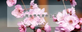 雨水节气开什么花,第1图