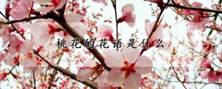 桃花的花语是什么,第1图