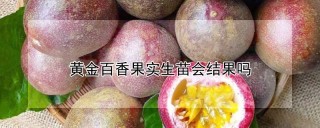 黄金百香果实生苗会结果吗,第1图