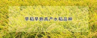 早稻早熟高产水稻品种,第1图