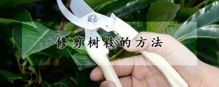 修剪树枝的方法,第1图