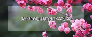 适合种在庭院的植物有哪些,第1图