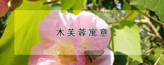 木芙蓉寓意,第1图