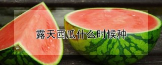 露天西瓜什么时候种,第1图