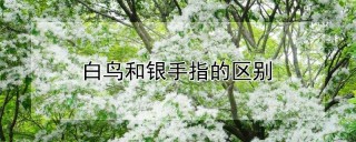 白鸟和银手指的区别,第1图