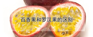 百香果和罗汉果的区别,第1图