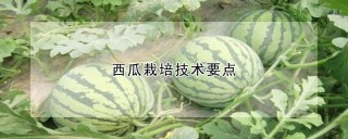 西瓜栽培技术要点,第1图