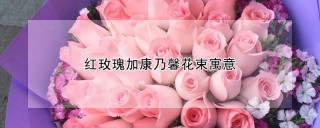 红玫瑰加康乃馨花束寓意,第1图