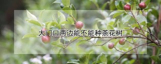 大门口两边能不能种茶花树,第1图