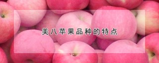 美八苹果品种的特点,第1图