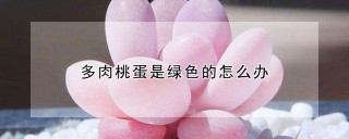 多肉桃蛋是绿色的怎么办,第1图