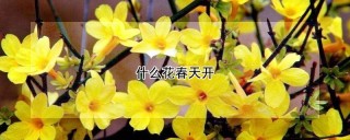 什么花春天开,第1图