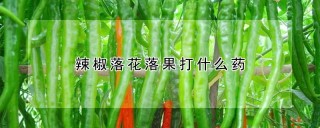 辣椒落花落果打什么药,第1图