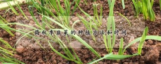 秋季韭菜的种植方法和时间,第1图