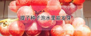 提子种子泡水里能发芽,第1图