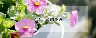 百万小岭的花语,第1图