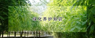 绿化养护知识,第1图