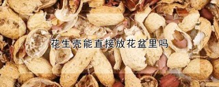 花生壳能直接放花盆里吗,第1图