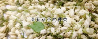 茉莉花茶的种类,第1图