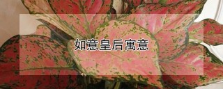 如意皇后寓意,第1图