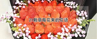 21颗草莓花束的花语,第1图