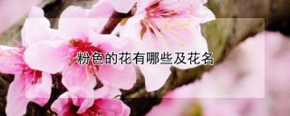 粉色的花有哪些及花名,第1图