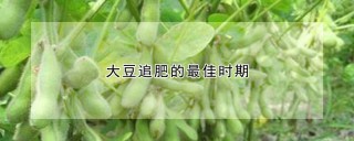 大豆追肥的最佳时期,第1图