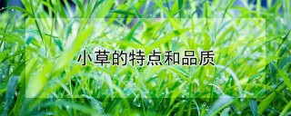 小草的特点和品质,第1图