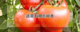 蔬菜有哪些种类,第1图