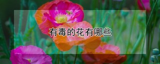 有毒的花有哪些,第1图