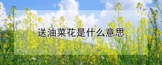 送油菜花是什么意思,第1图