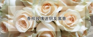 香槟玫瑰送朋友寓意,第1图