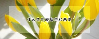 什么花代表痛苦和悲伤,第1图