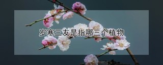 岁寒三友是指哪三个植物,第1图