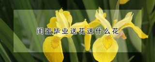 闺蜜毕业送花送什么花,第1图