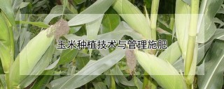 玉米种植技术与管理施肥,第1图