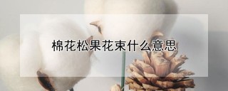 棉花松果花束什么意思,第1图