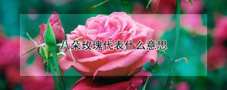 八朵玫瑰代表什么意思,第1图