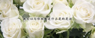 我足以与你相配是什么花的花语,第1图