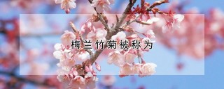 梅兰竹菊被称为,第1图