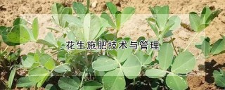 花生施肥技术与管理,第1图