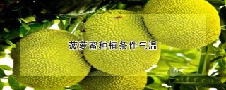 菠萝蜜种植条件气温,第1图