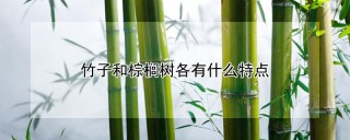 竹子和棕榈树各有什么特点,第1图