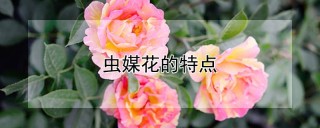 虫媒花的特点,第1图