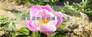 插花泥的花能保存多久,第1图