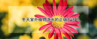 冬天室外植物浇水的正确方法,第1图